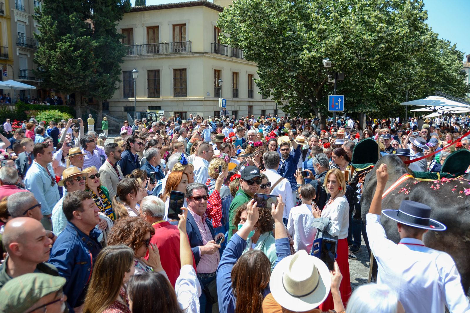La salida de la Hermandad del Rocío de Granada, en imágenes