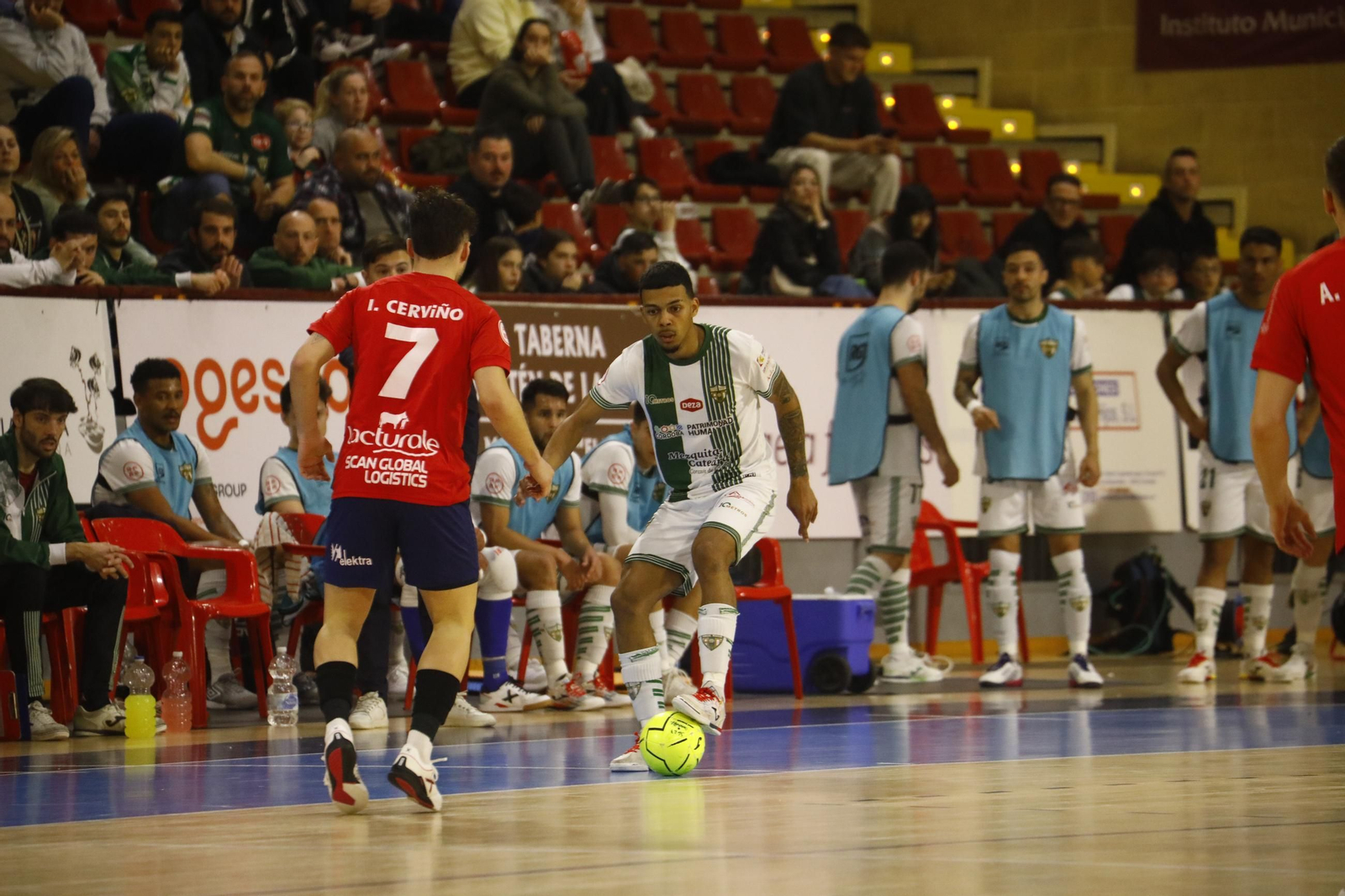 Las mejores fotos del Córdoba Futsal - Osasuna Magna en Vista Alegre
