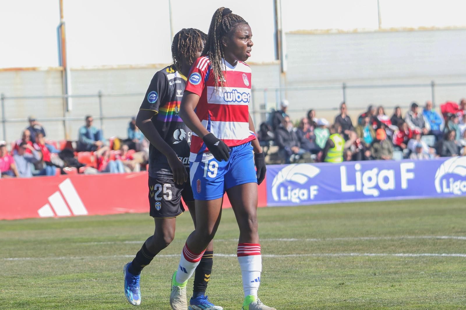 Las mejores imágenes del Granada CF - Costa Adeje Tenerife