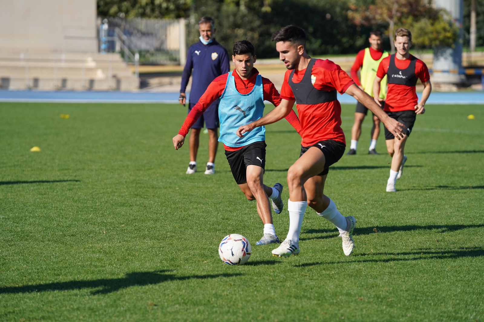 Fotogalería del entrenamiento del Almería, miércoles 11
