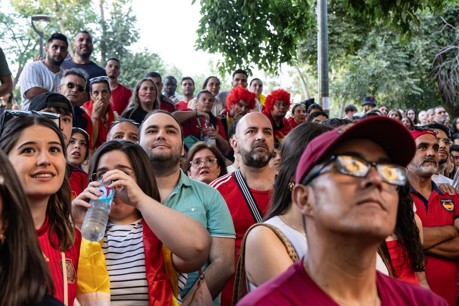 La euforia jiennense por la victoria de España, imágenes