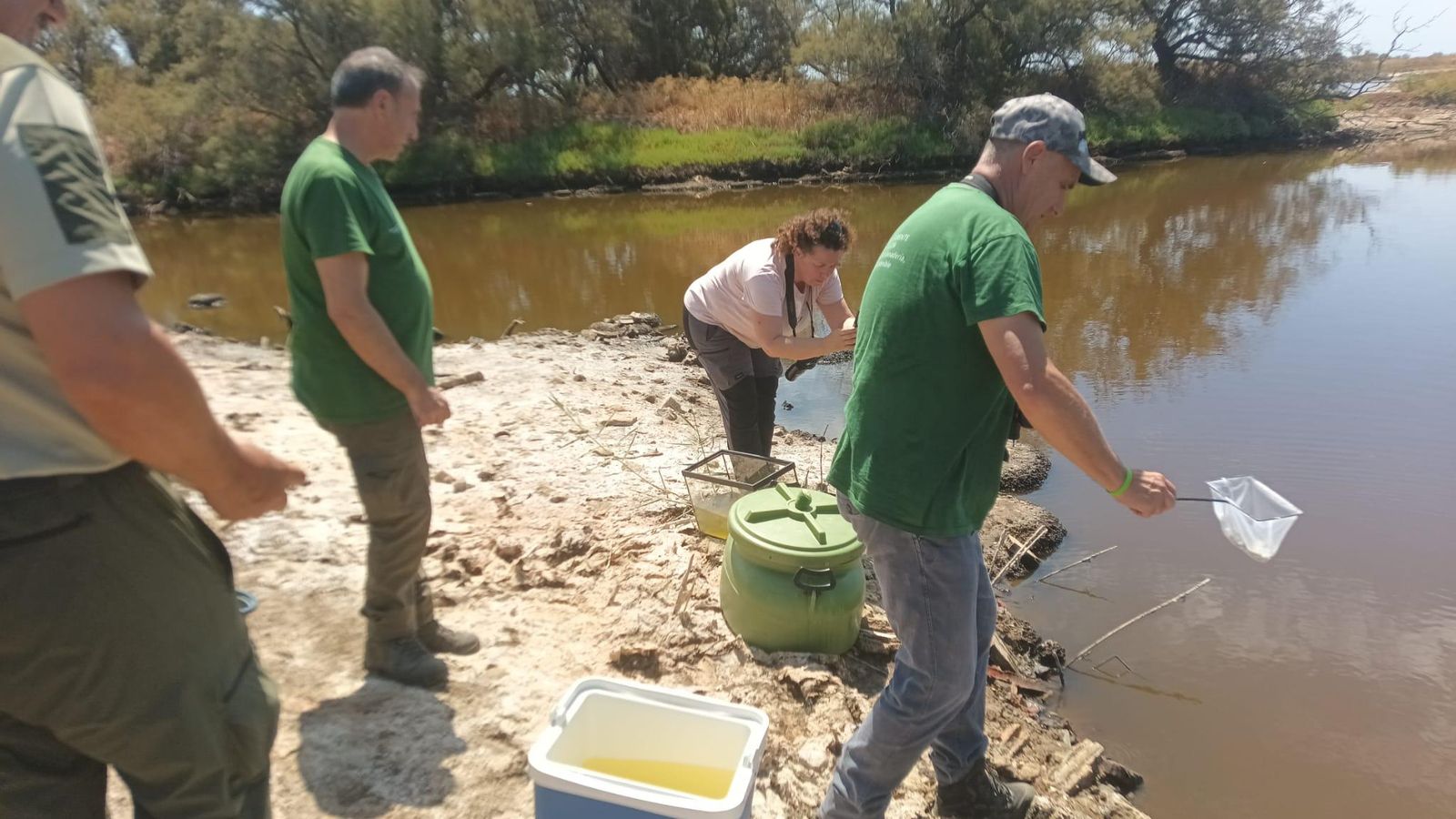 Trabajos de reintroducción por parte de los técnicos en el río Guadalhorce.
