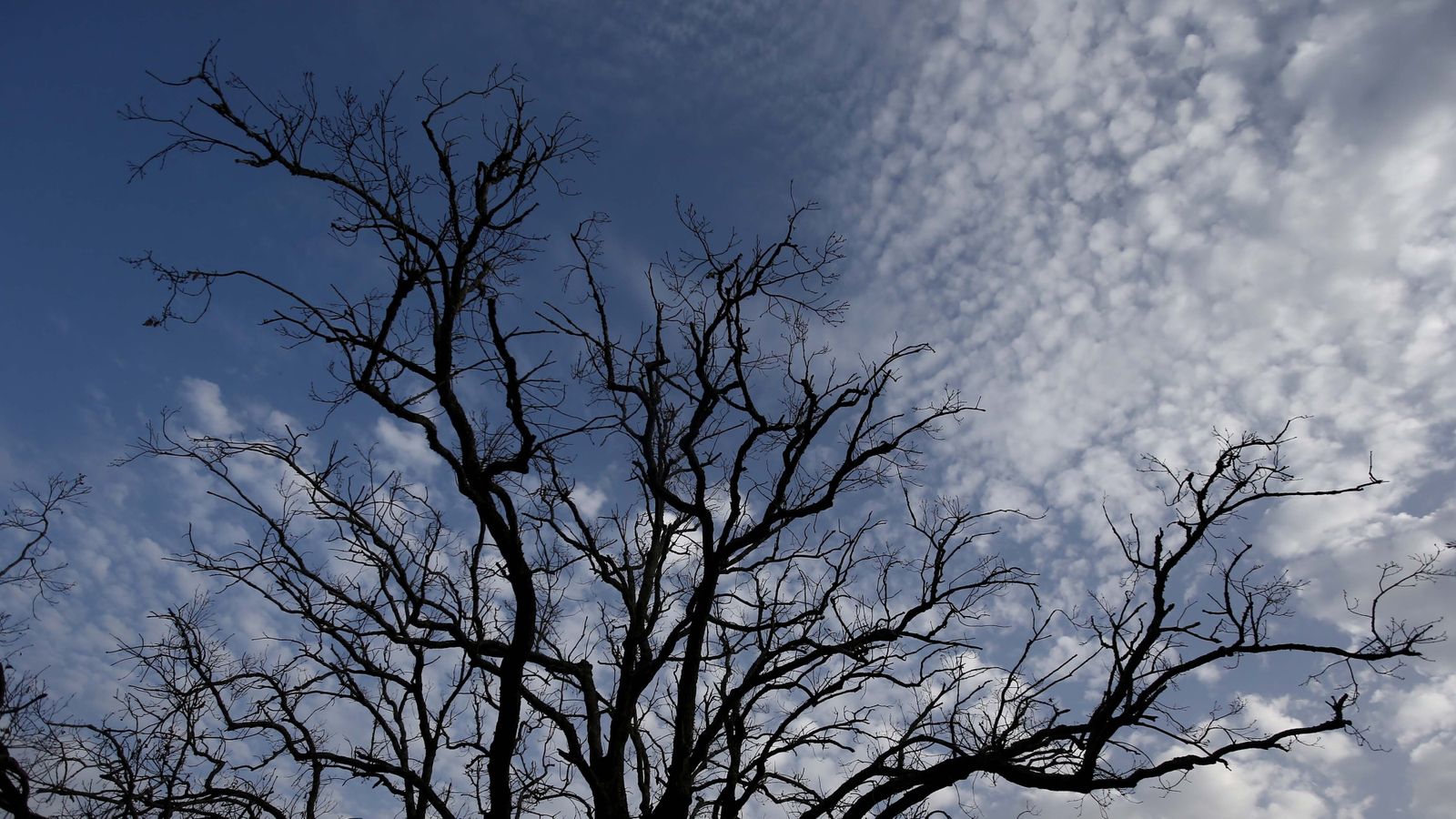 Las mejores fotos de San Carlos del Tiradero