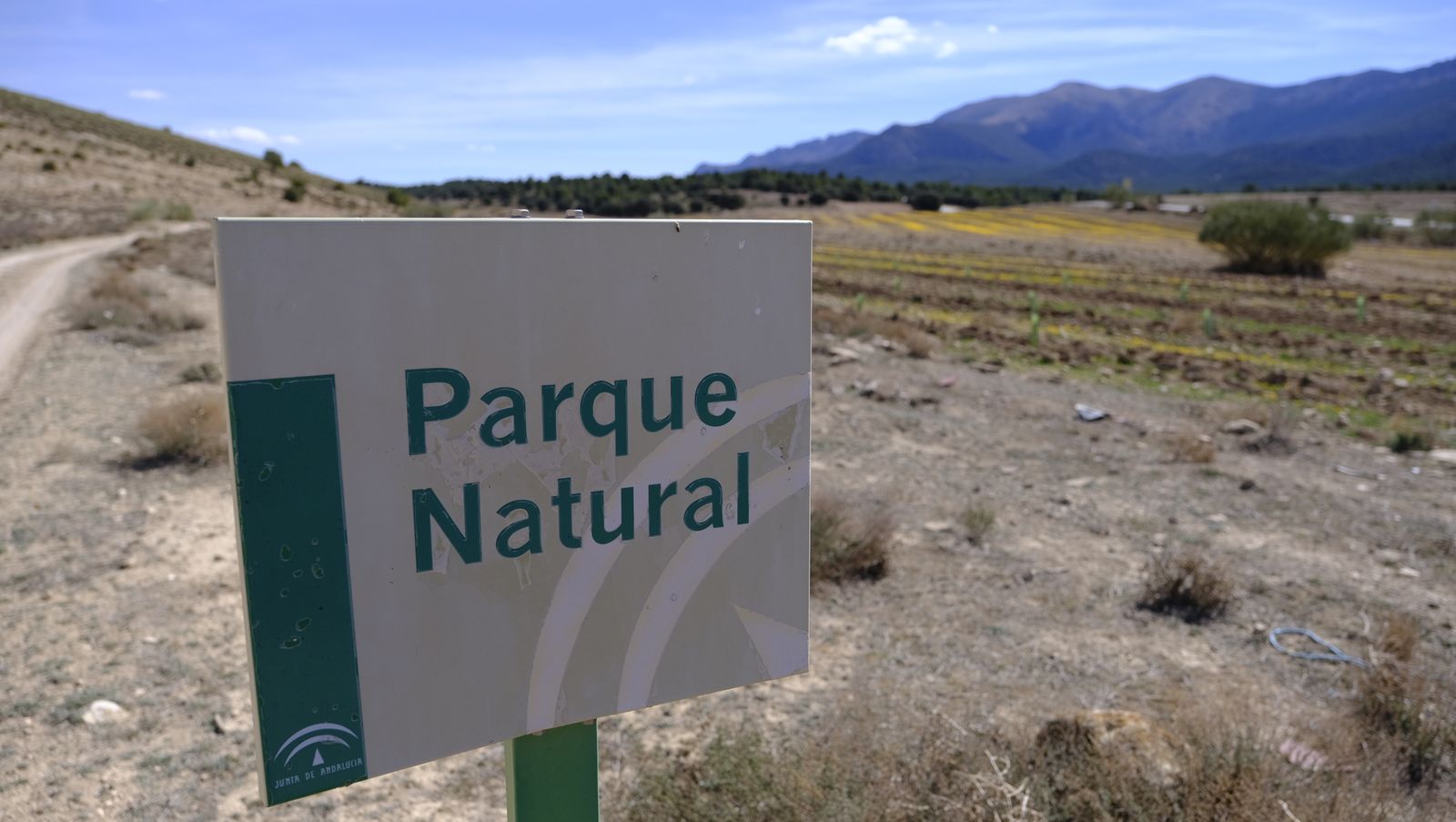 Cajamar pone 'la primera planta' para la reforestación de Sierra María-Los Vélez