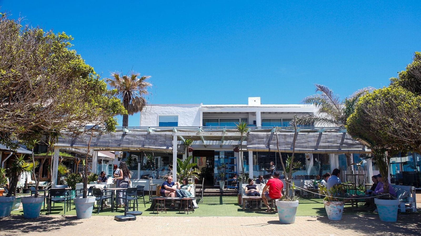 La terraza del Café del Mar, el paraíso de los gorriones. La terraza del Café del Mar, el paraíso de los gorriones.