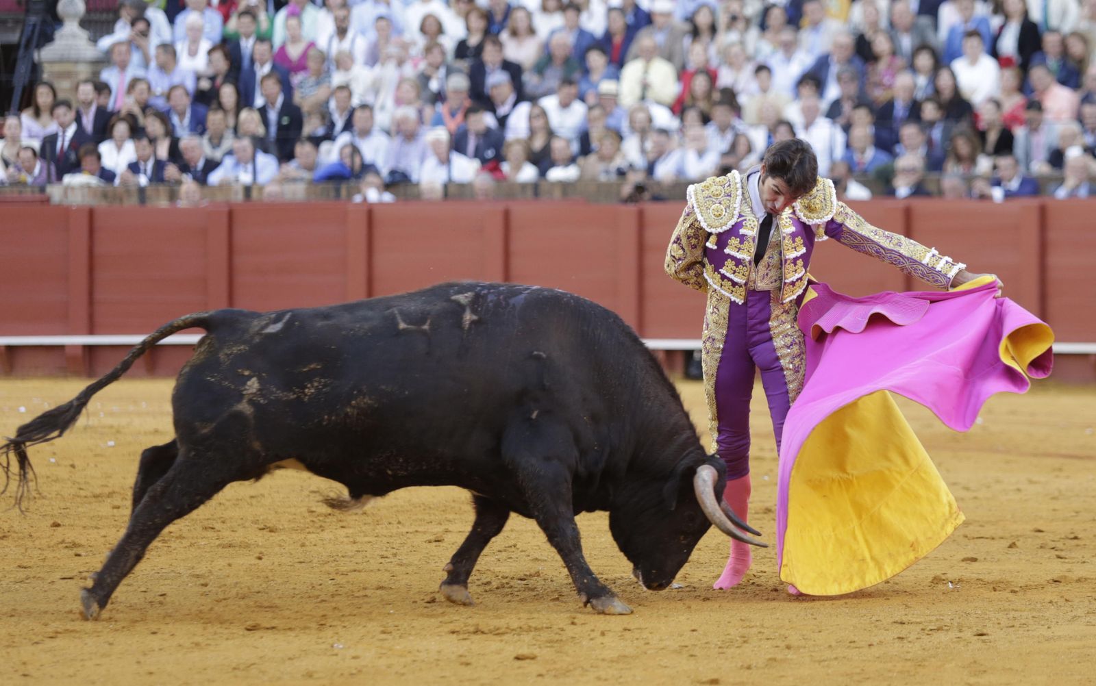 Cayetano Rivera Ordóñez.