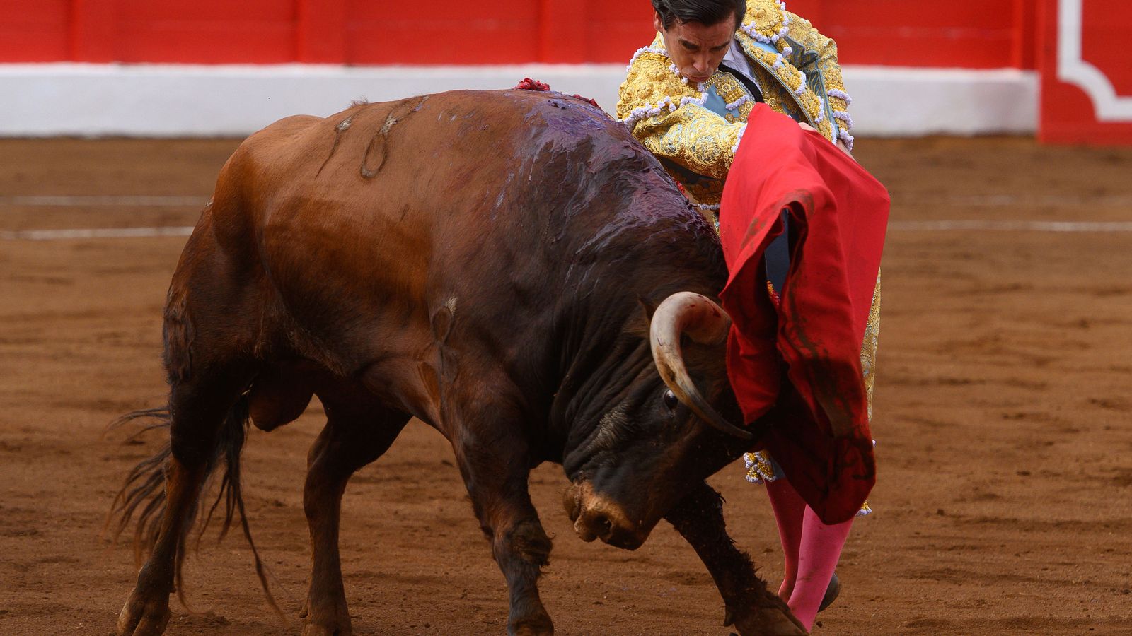 Juan Ortega da un pase a un toro durante el tercer día de la Feria de Santiago.