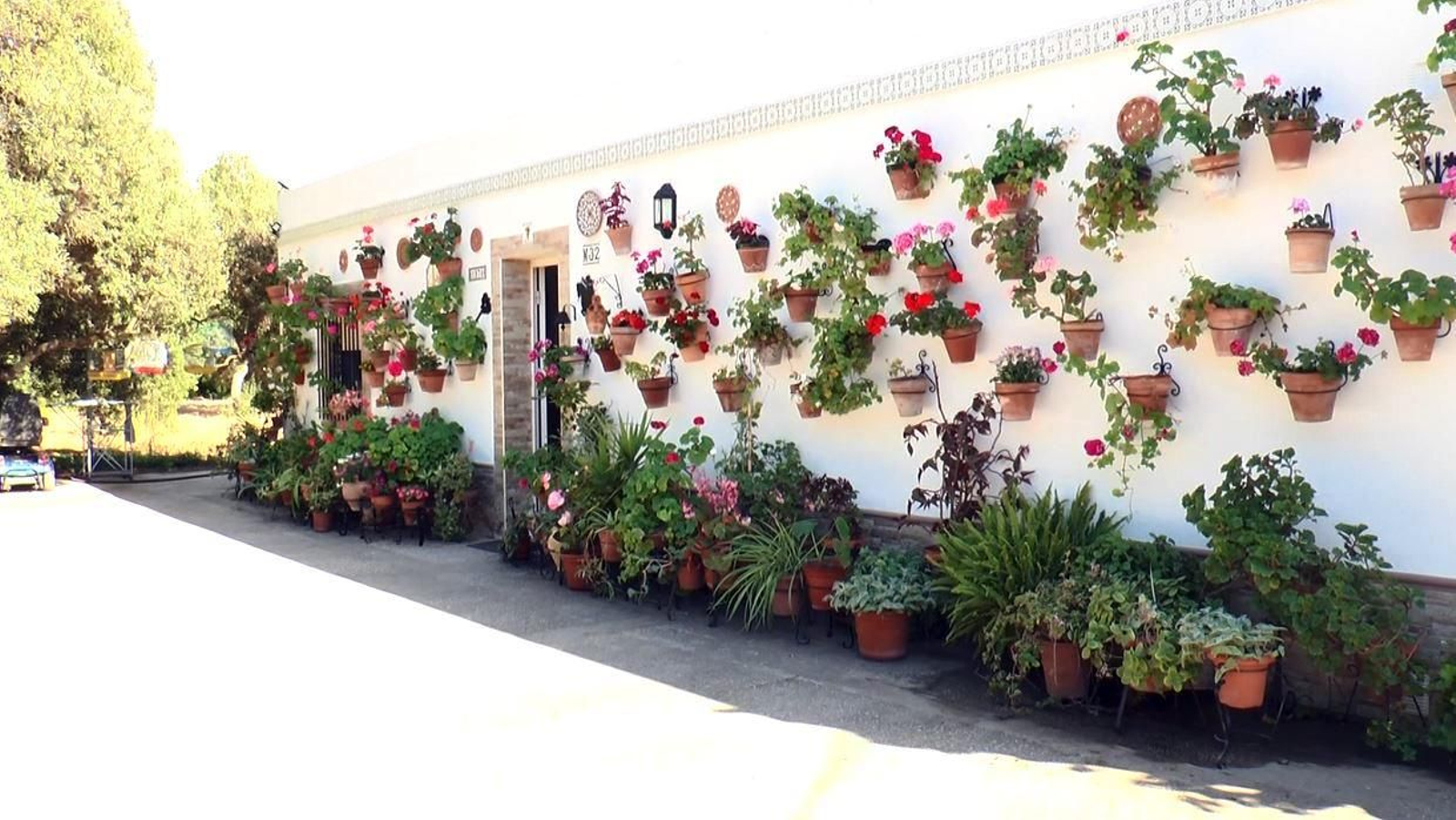 Concurso de Cruces de Mayo y Patios 2022 en Puerto Real