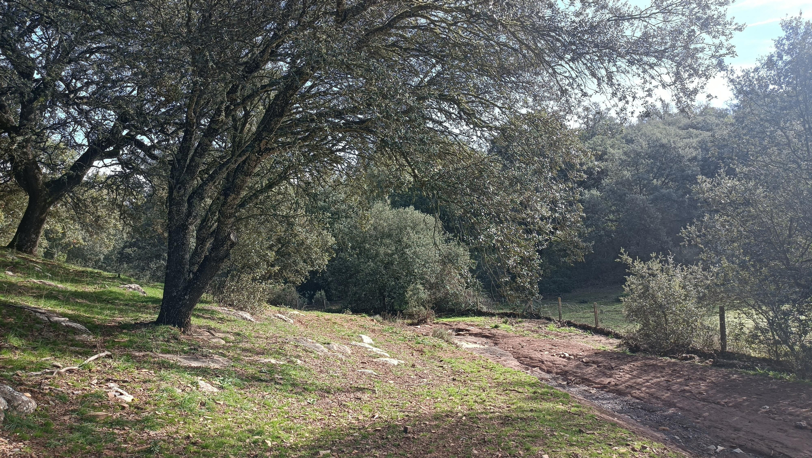 Seguimos el Arroyo del Pozuelo.