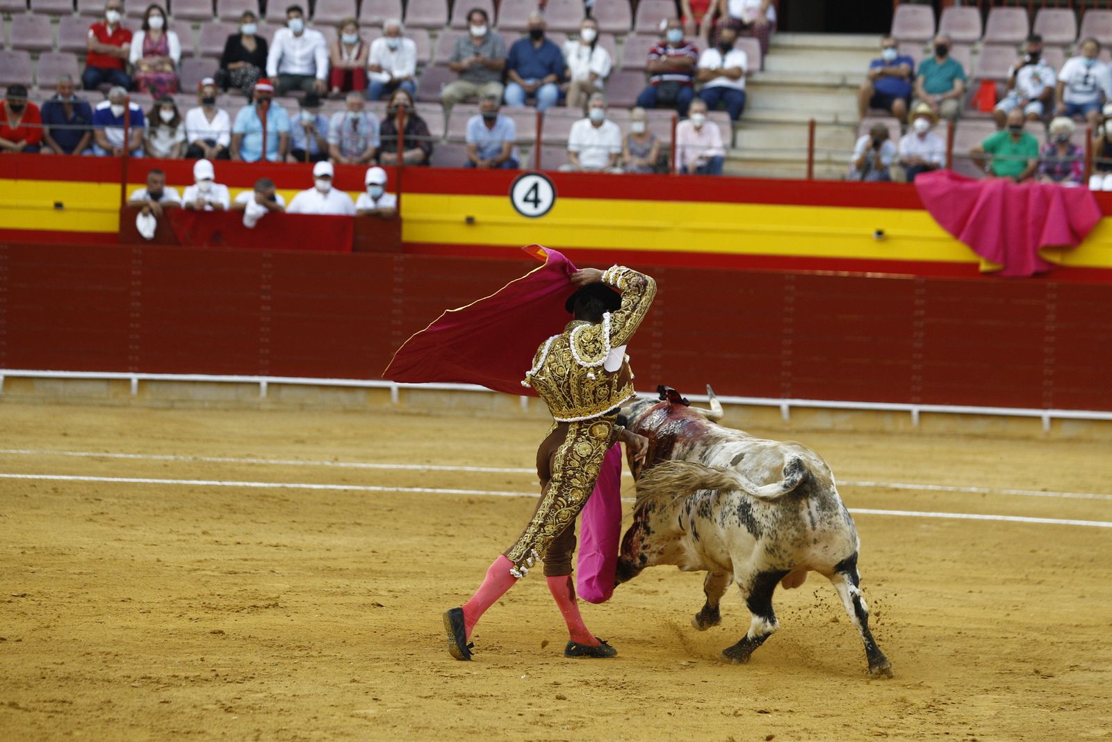 Fotogalería corrida de toros. Cayetano Rivera, Paco Ureña y Roca Rey. Roquetas de Mar.