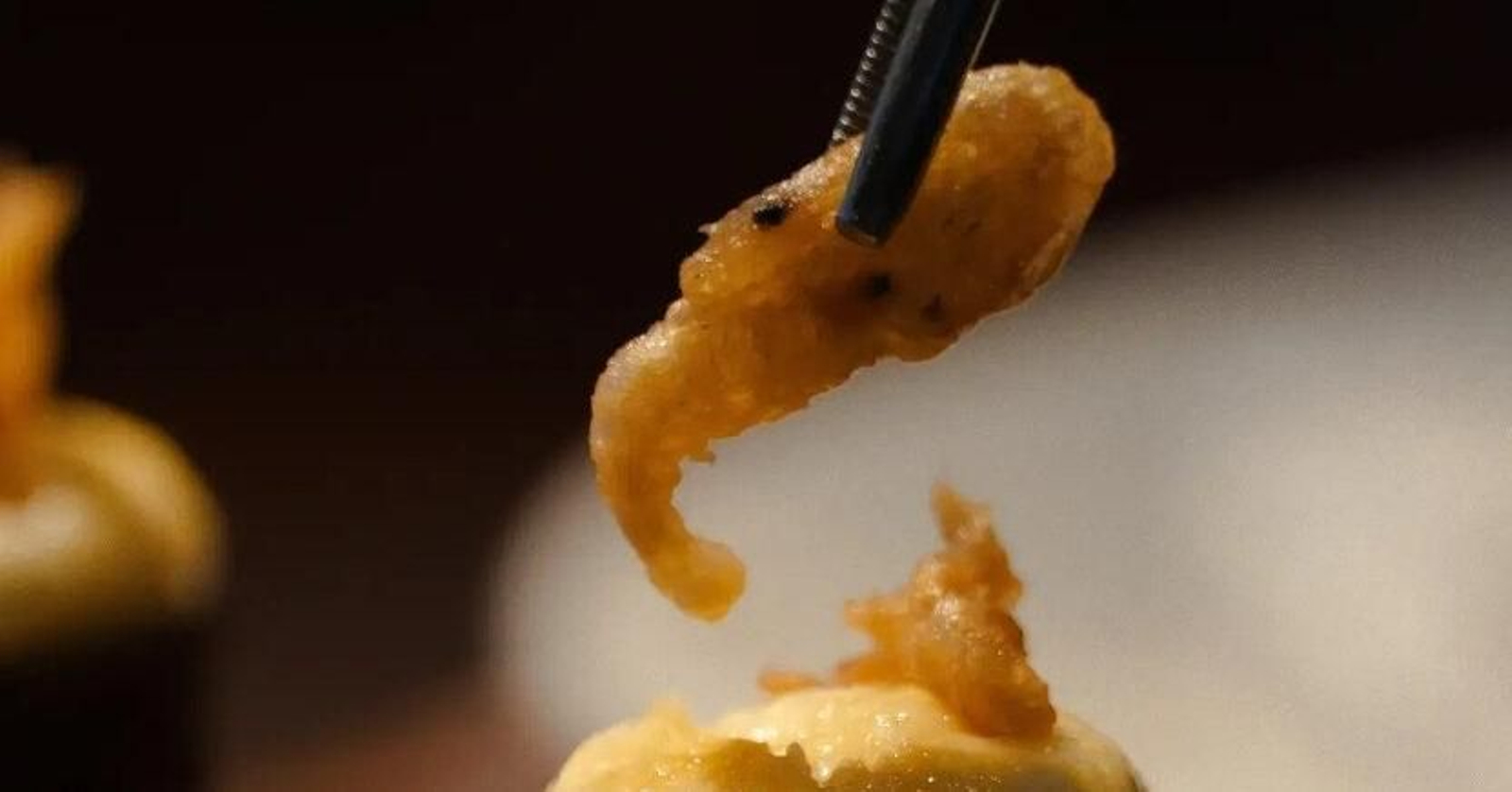 Mayo arriba 831x435