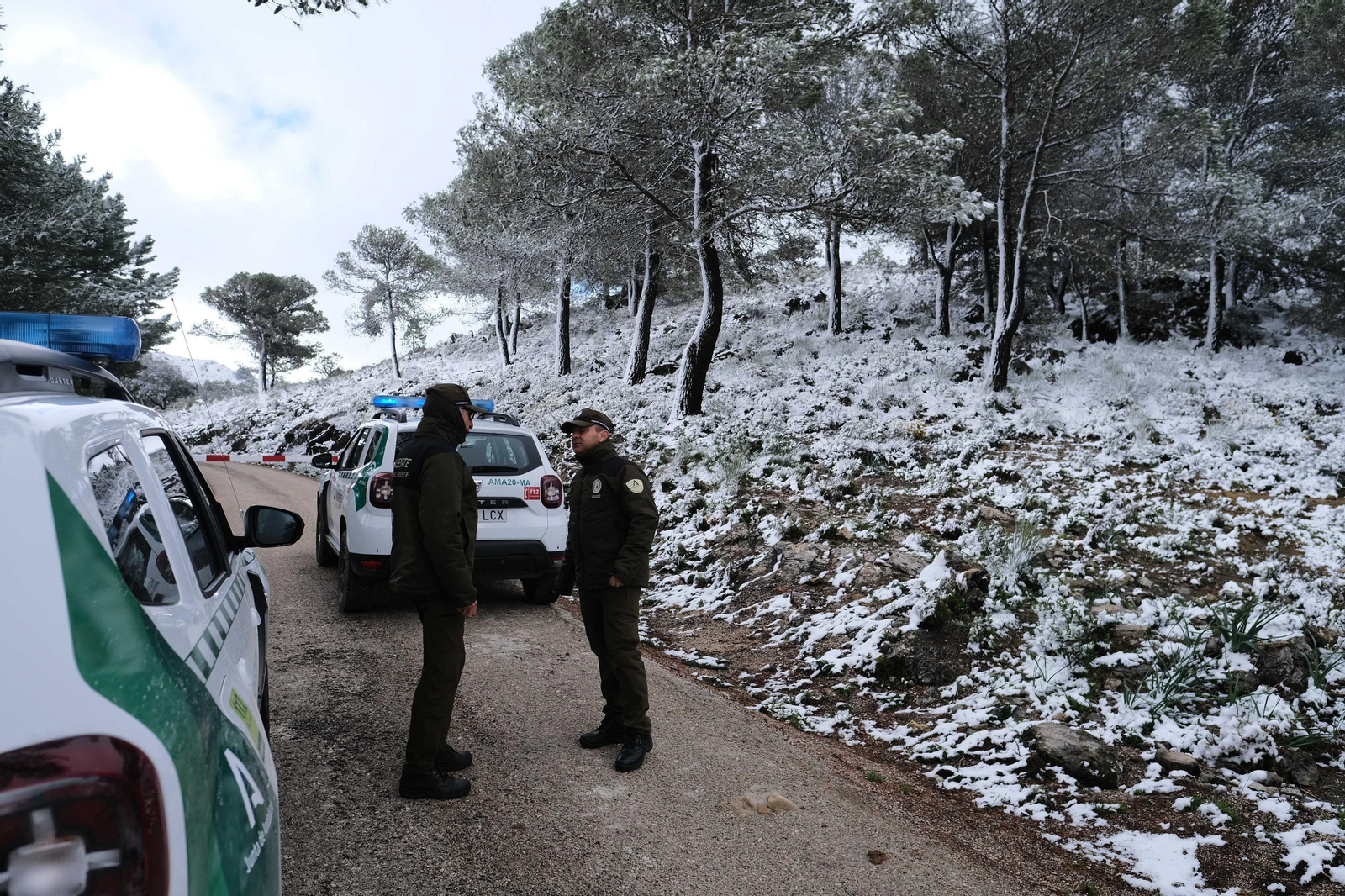 La nevada en la Sierra de las Nieves, en fotos.