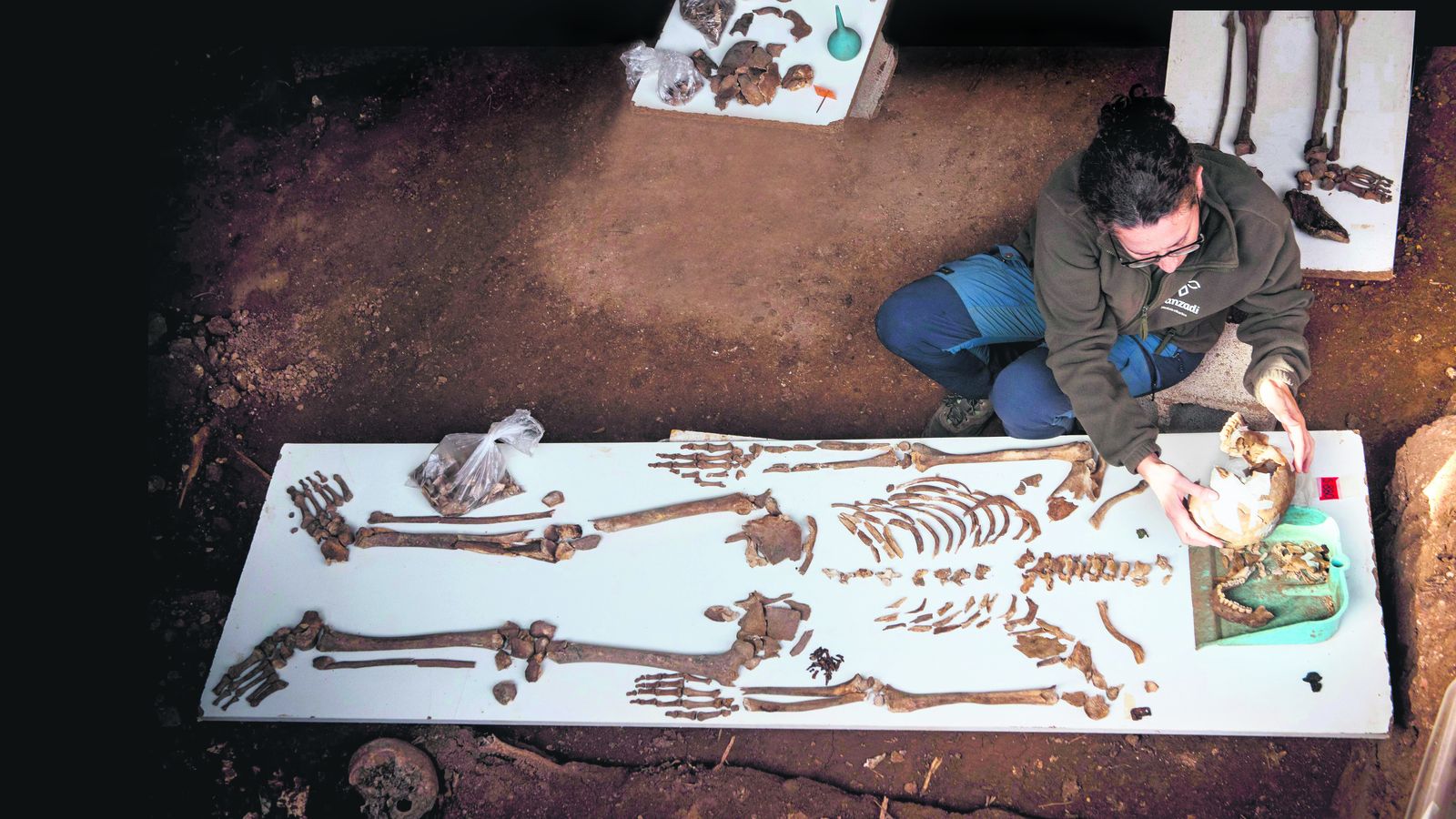 La reconstrucción del esqueleto forma parte del trabajo de los antropólogos que trabajan en la fosa Pico Reja.