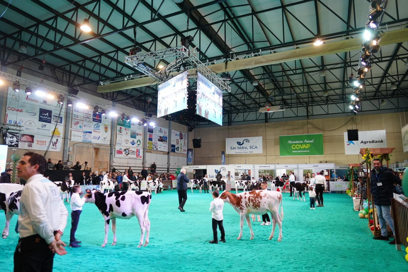 El Gran Campeonato de Novillas de la XVI Feria de Ganado Frisón Usías Holsteins de Dos Torres, en imágenes