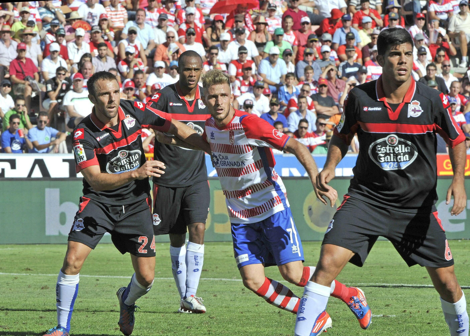 Floro Flores fue uno de los mayores fracasos de la anterior etapa en Primera en materia de fichajes.