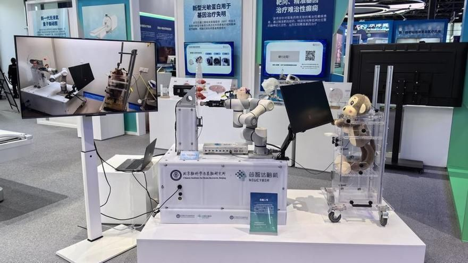 Desvelado Neucyber, el Implante cerebral chino que permite a un mono manejar brazo robótico con la mente