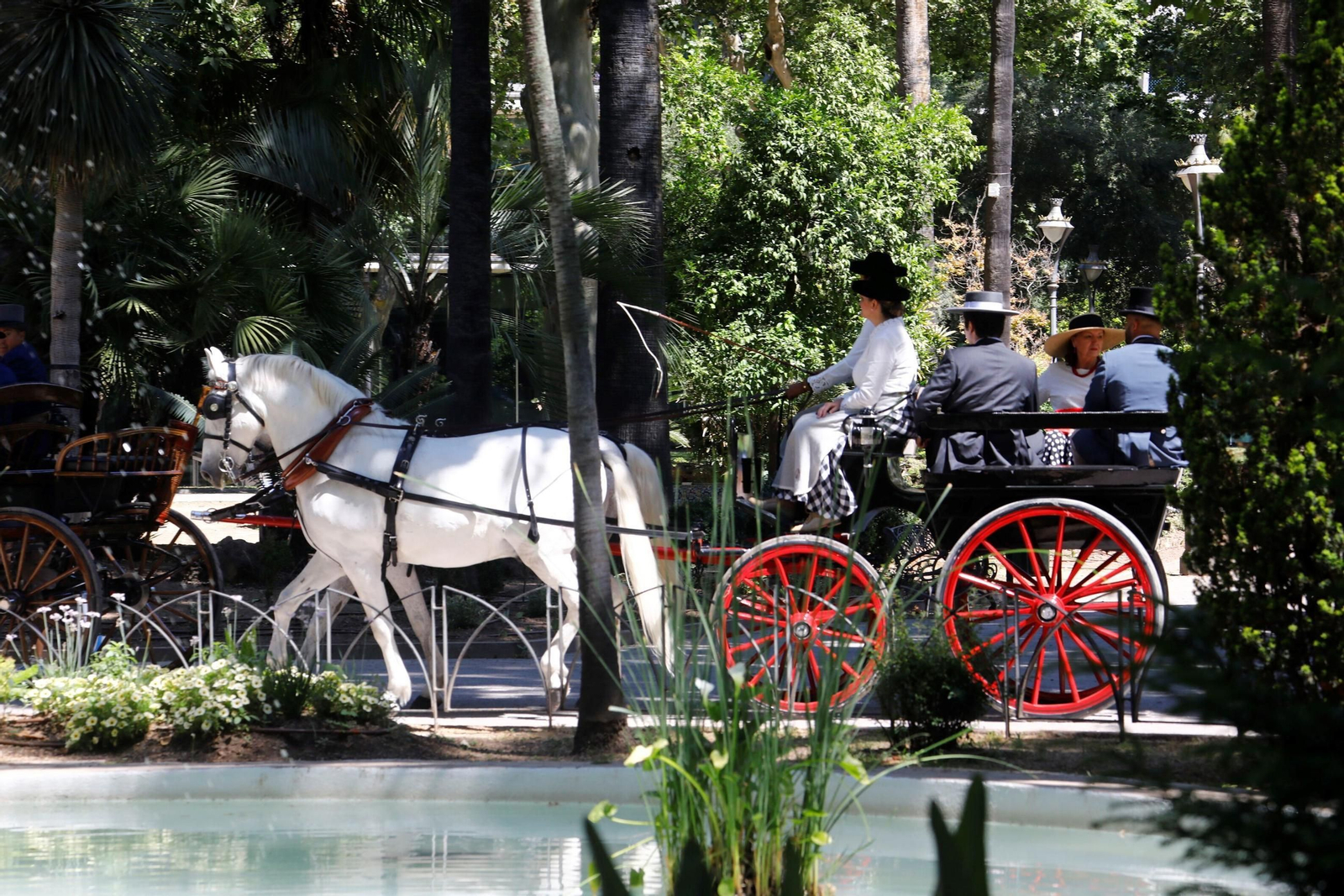 La exhibición de carruajes de tradición Nuestra Señora de la Salud, en imágenes