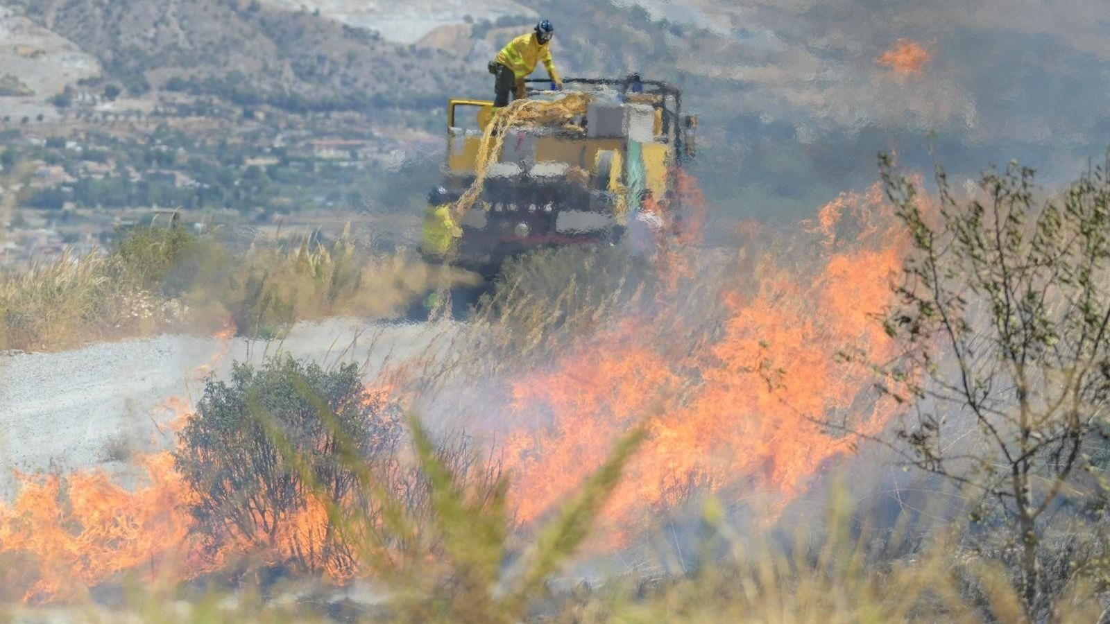 Incendio en la provincia de Granada el pasado verano