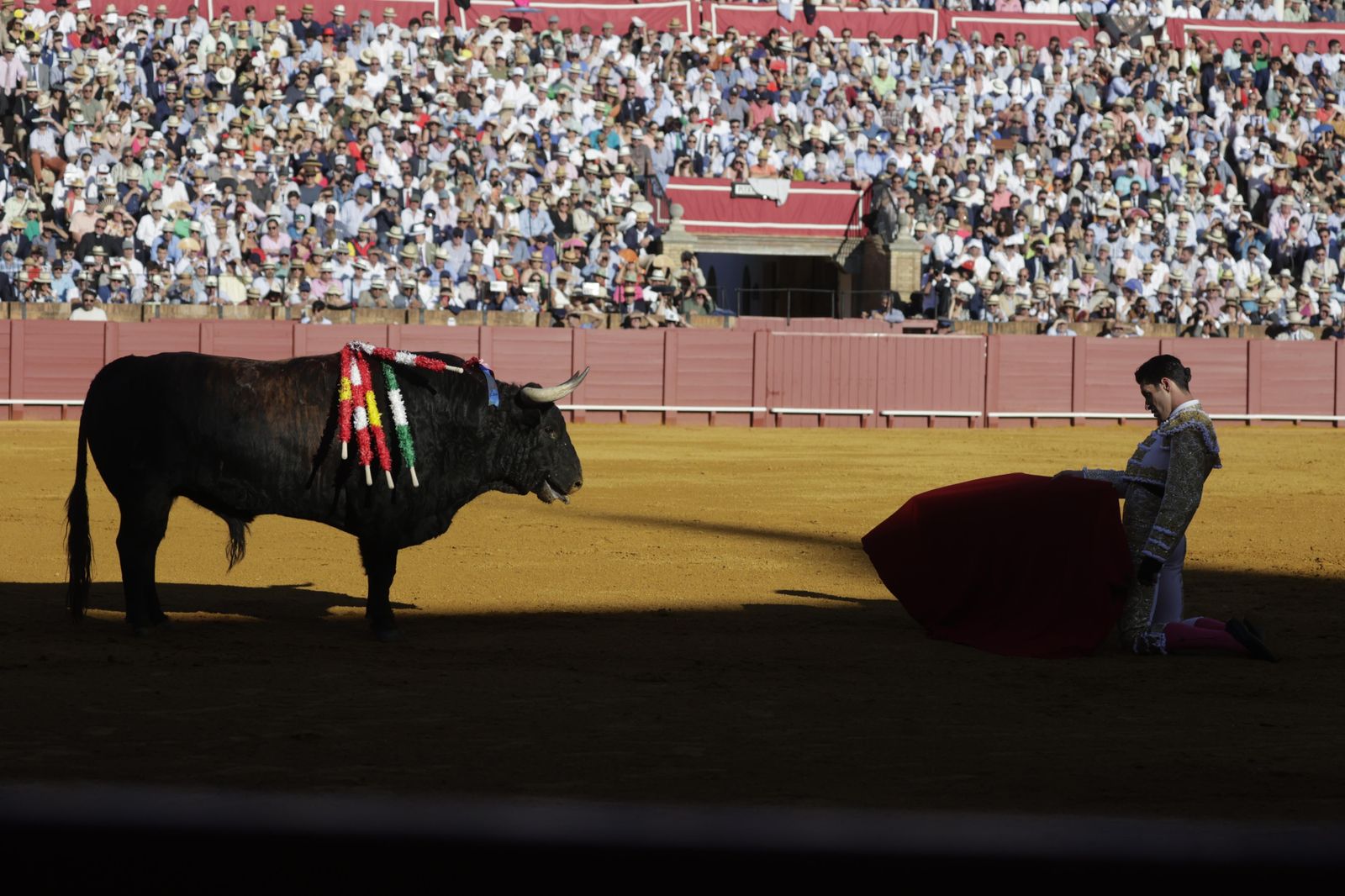 Las imágenes del festejo