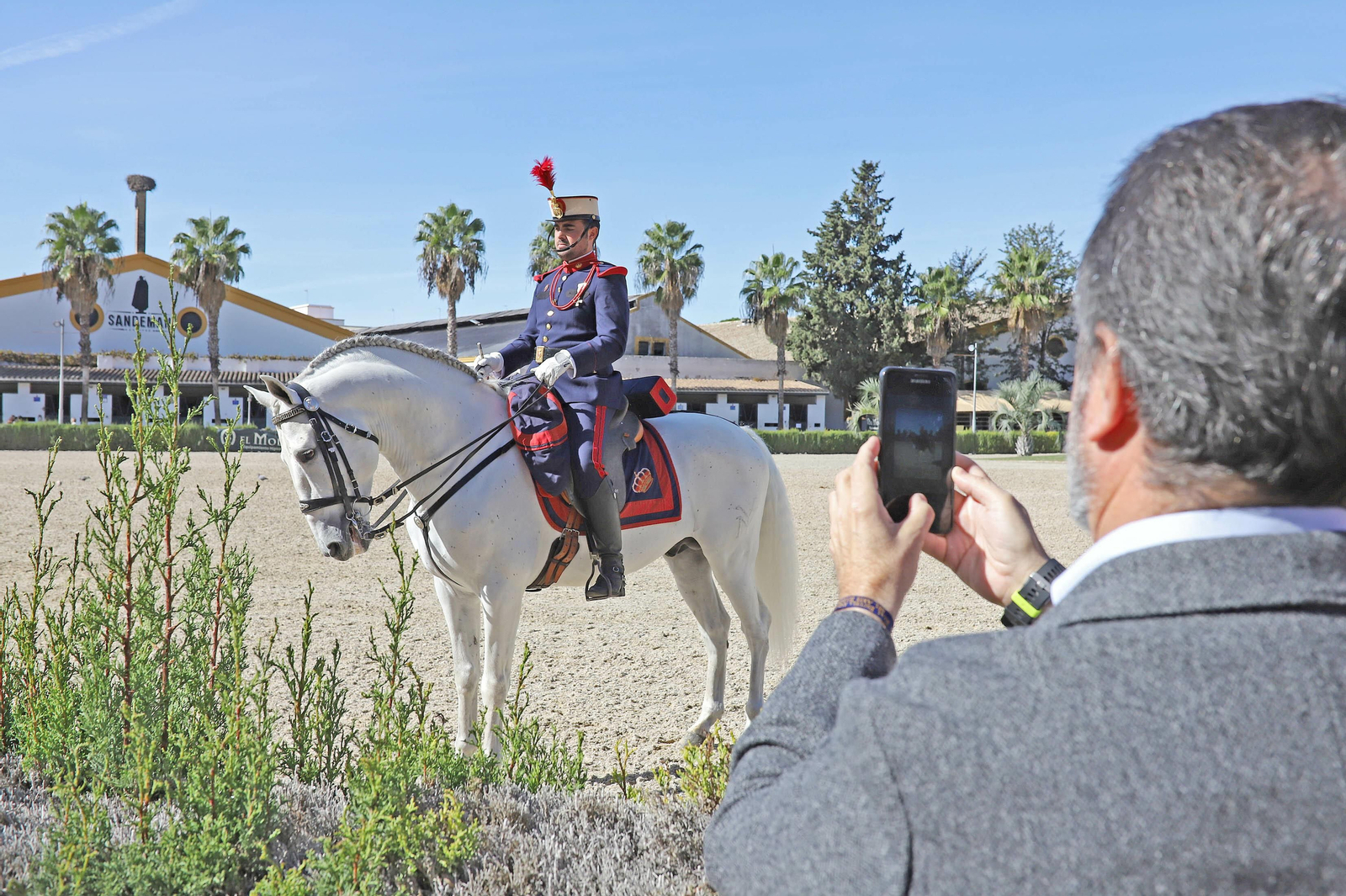 XVII Campeonato de Andalucía de Doma de Alta Escuela