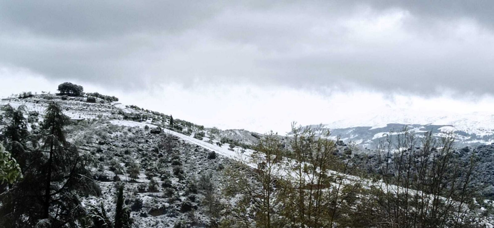 Granada despide la Semana Santa cubierta de nieve