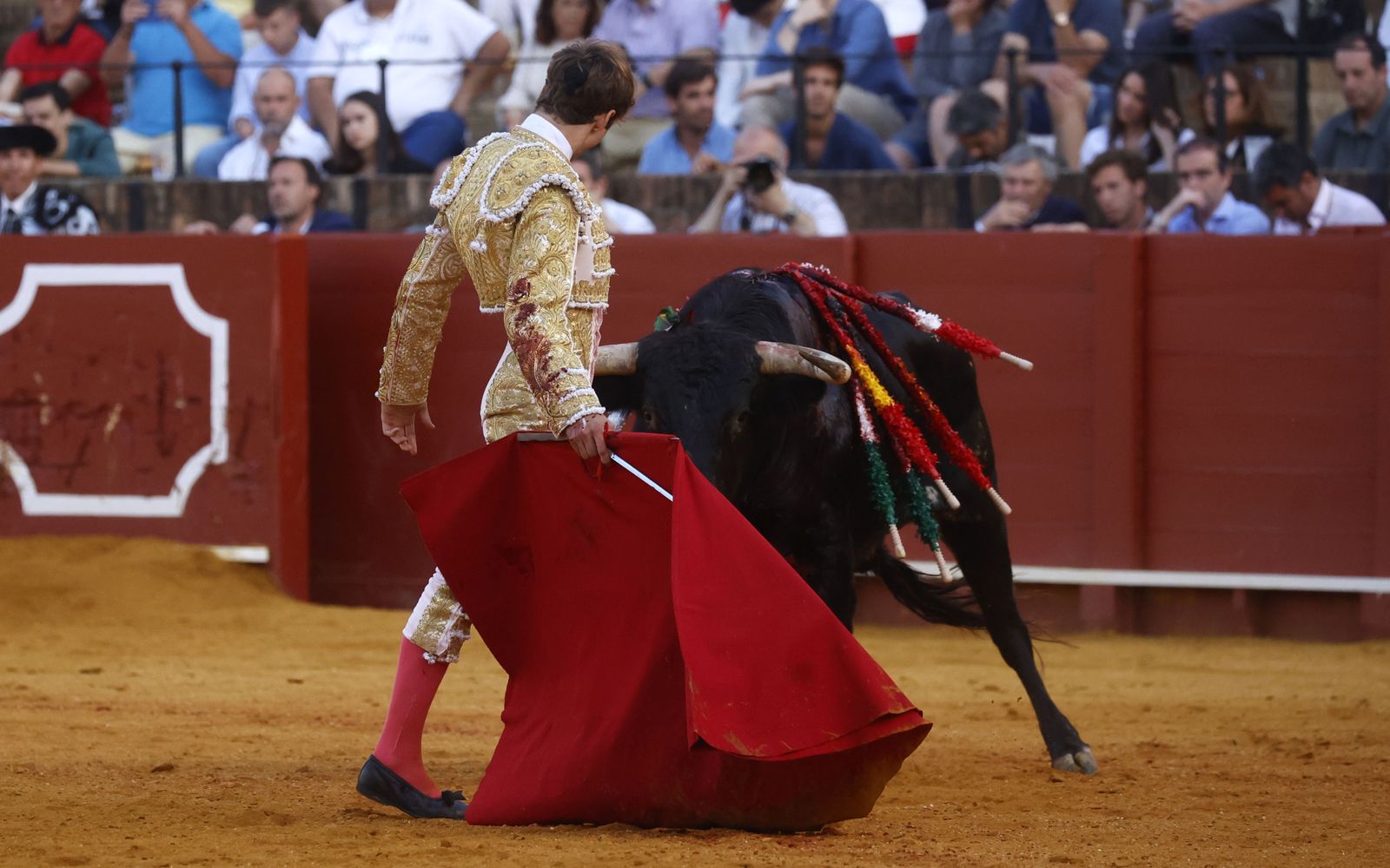 Las imágenes de la novillada en la Maestranza