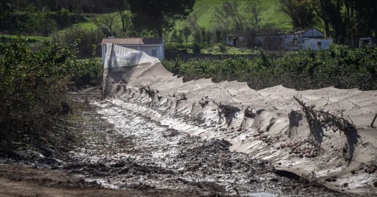 La Junta amplía el plan de choque para reparar infraestructuras ...