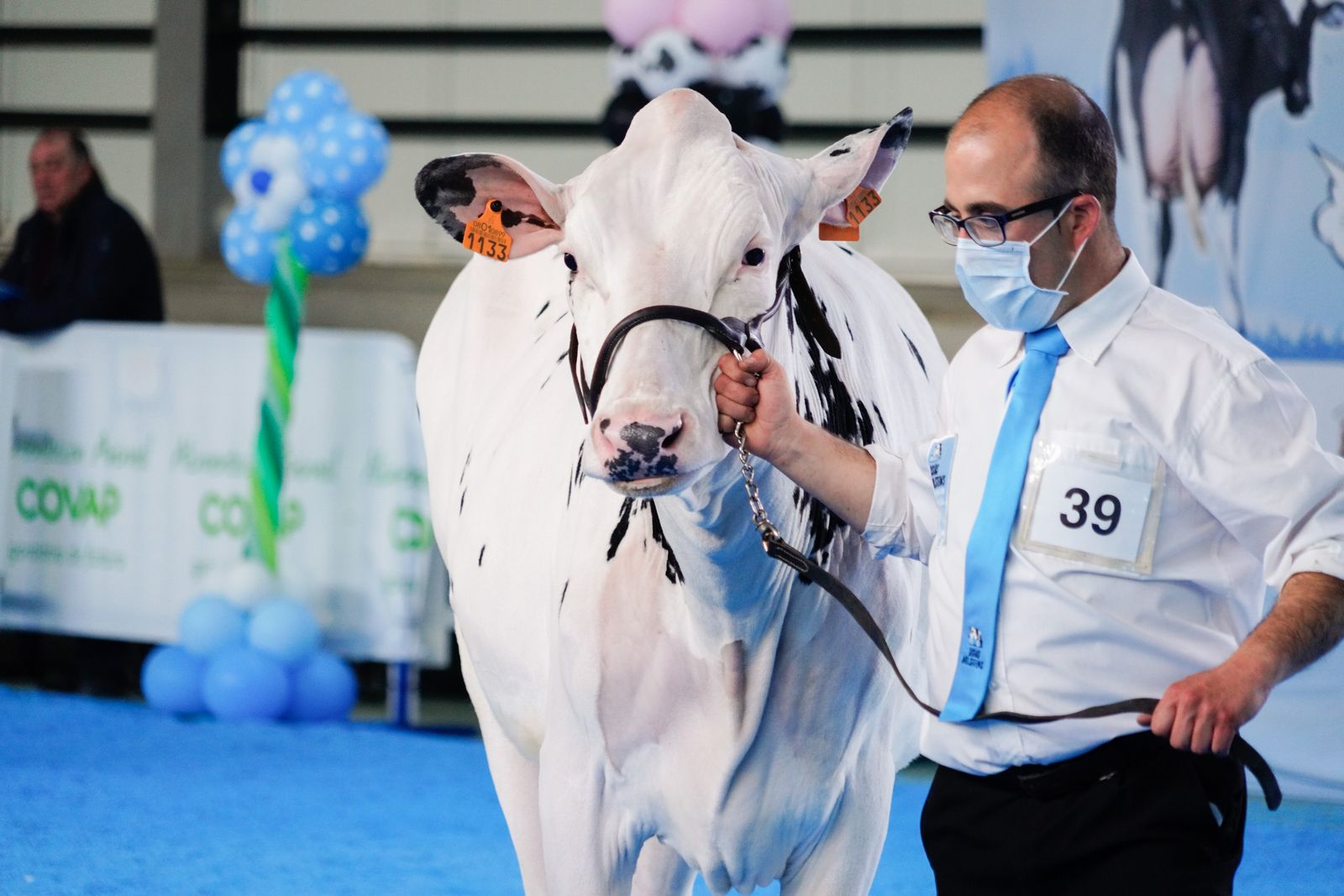La Feria de Ganado Frisón Usías Holsteins de Dos Torres, en fotografías
