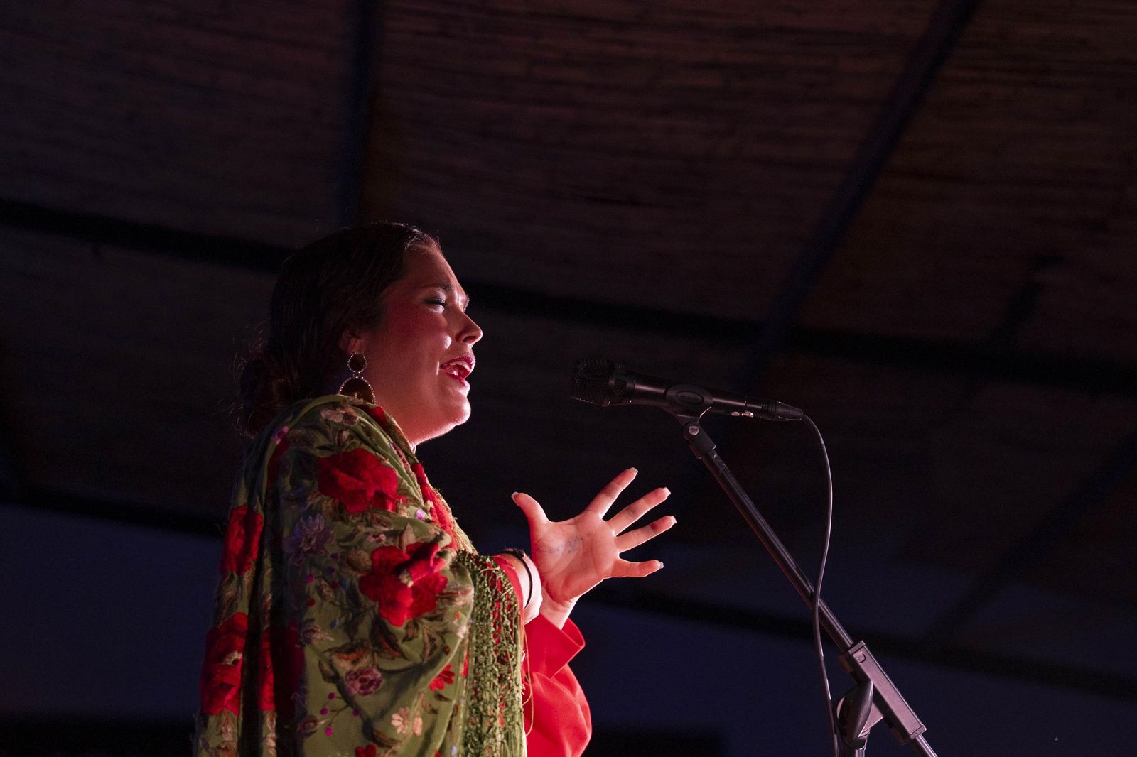 Las mejores imágenes del Festival de Flamenco en Fondón