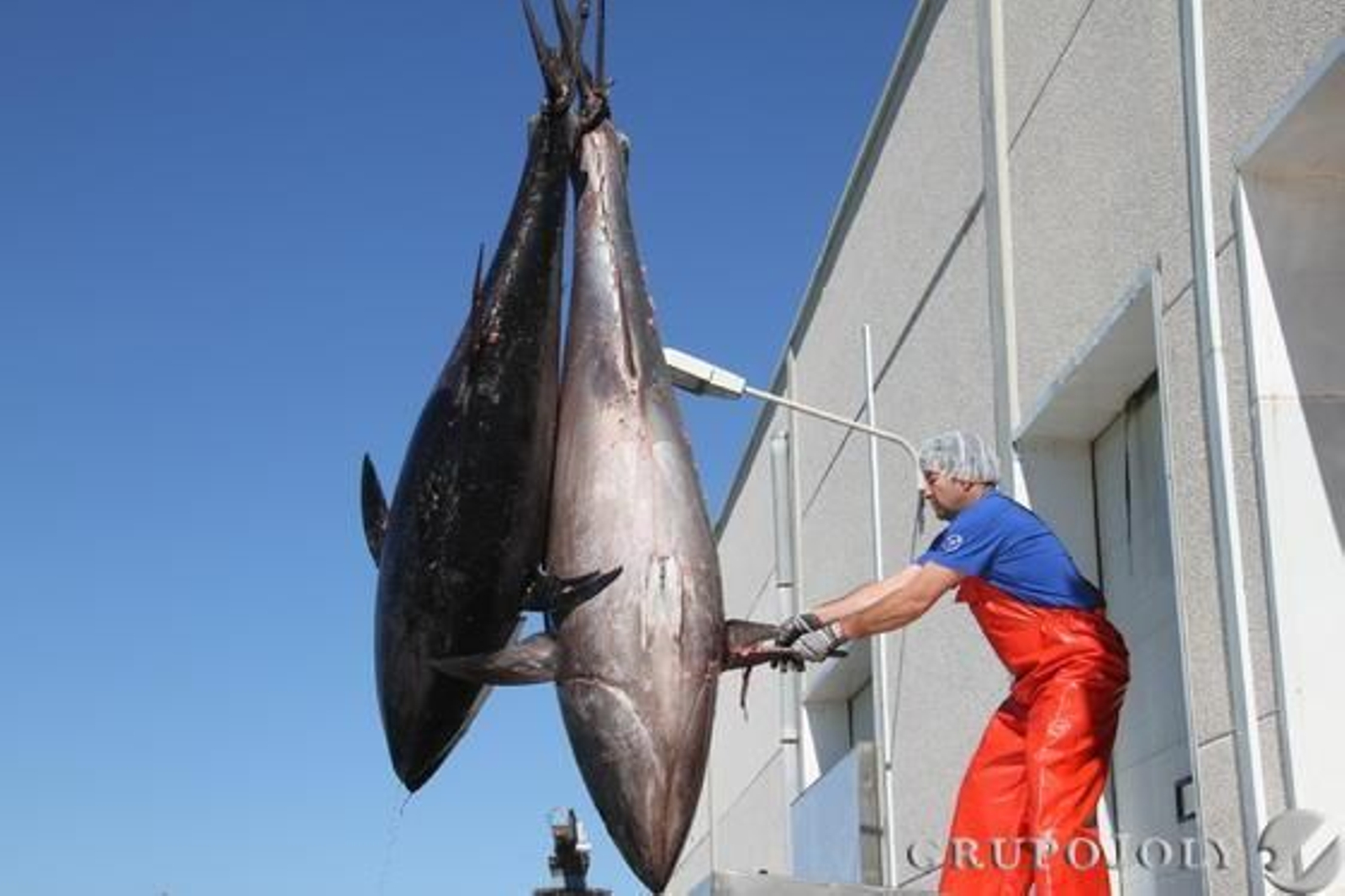 Foto: Manuel Aragon Pina