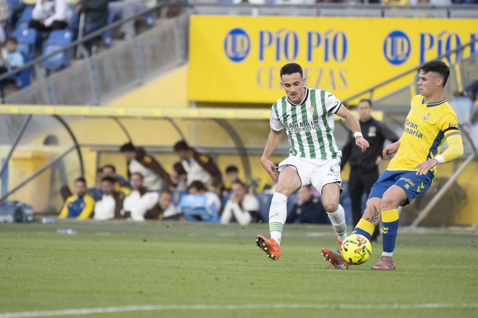 Las mejores fotos del triunfo del Córdoba CF ante Las Palmas