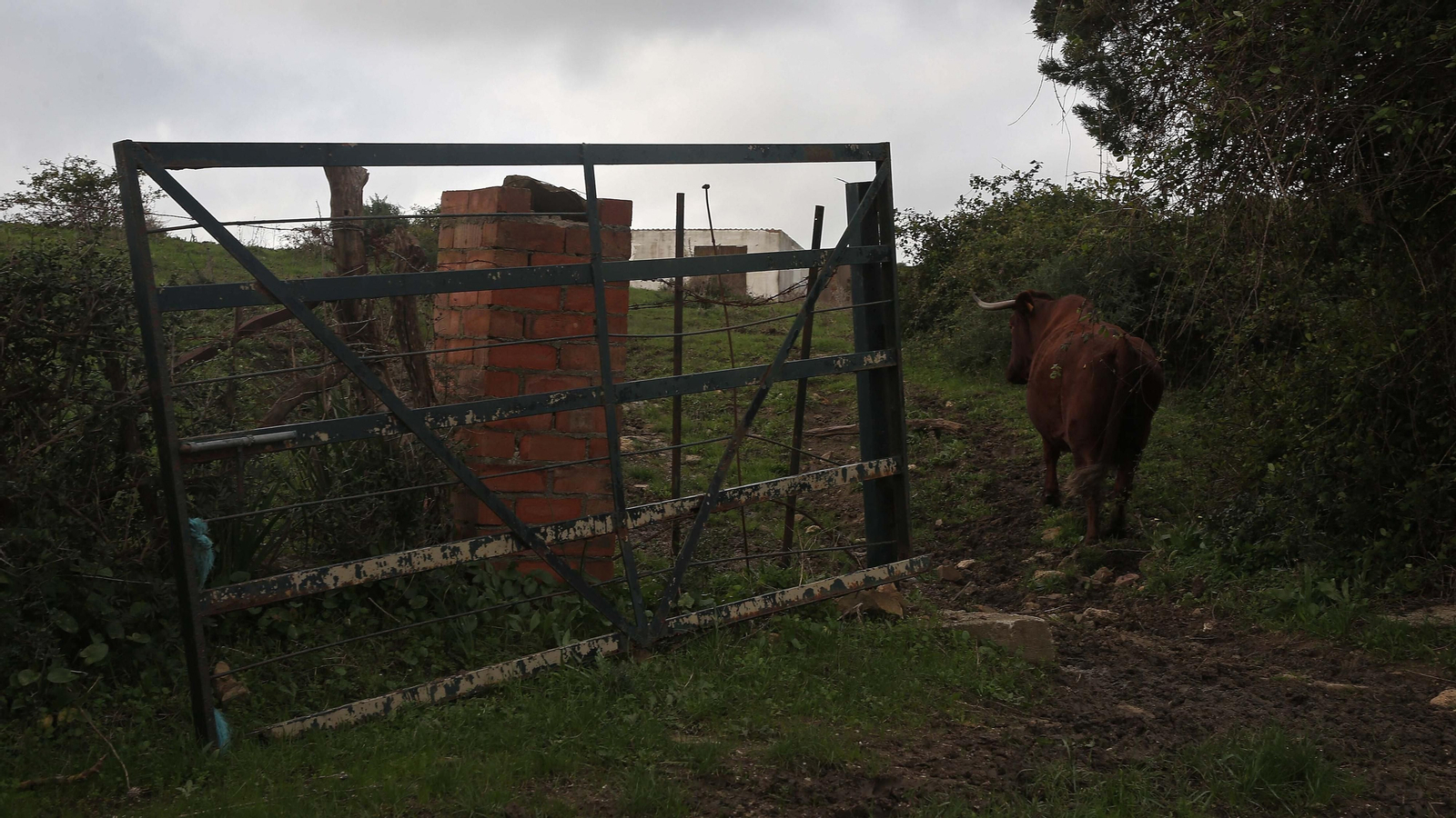 Fotos del sendero del Cerro del Tambor en Algeciras