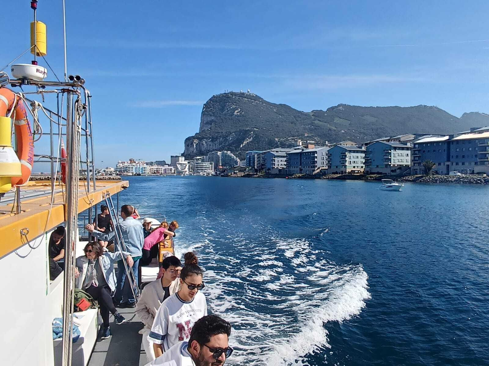 Avsitamiento de delfines en el Campo de Gibraltar