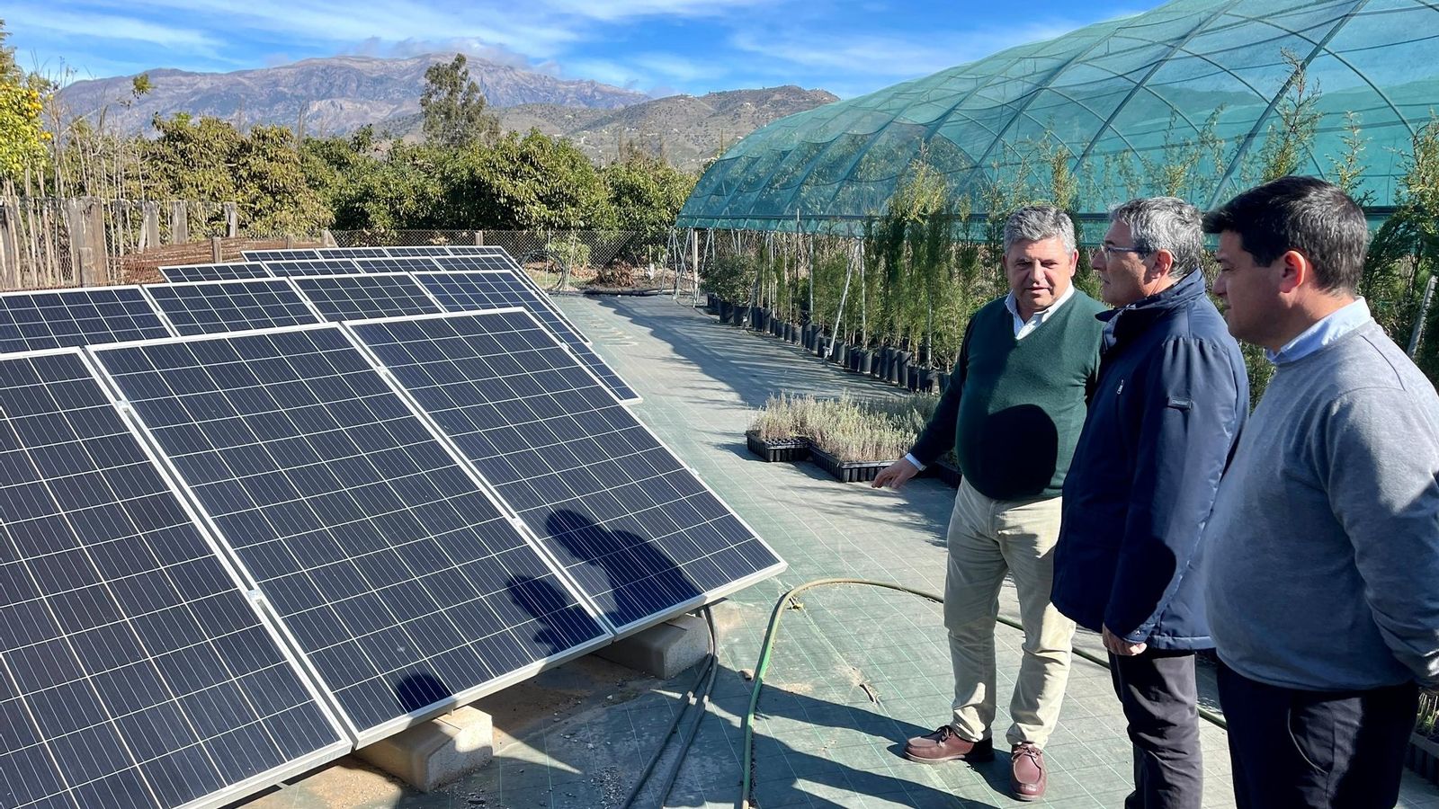 Placas fotovoltaicas en los nuevos terrenos del vivero.