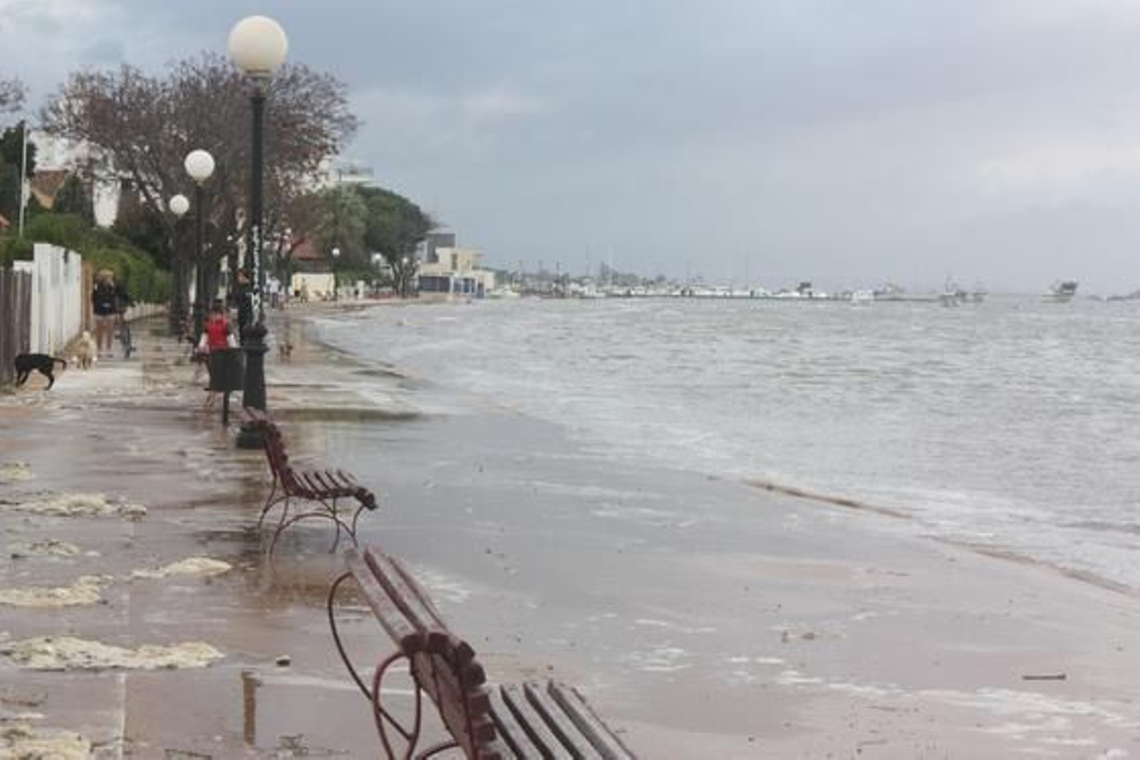 La crecida de los ríos provoca numerosas inundaciones en Huelva. / Reportaje fotográfico de Correa y Espinosa.