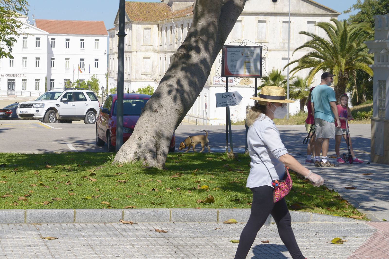 Fotos de sanroqueños saliendo a la calle a pasear y hacer deporte