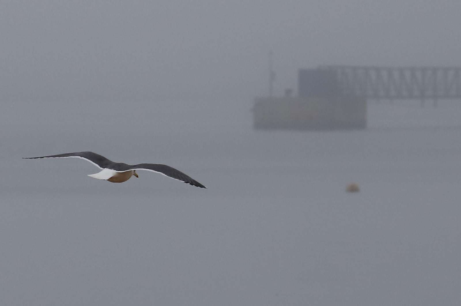 Imágenes de la niebla durante la mañana en Huelva