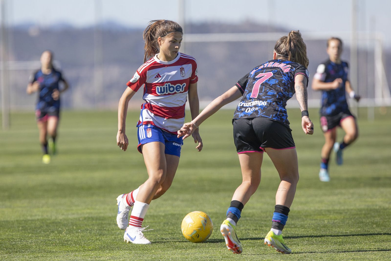 Las imágenes del Granada CF - Sevilla FC