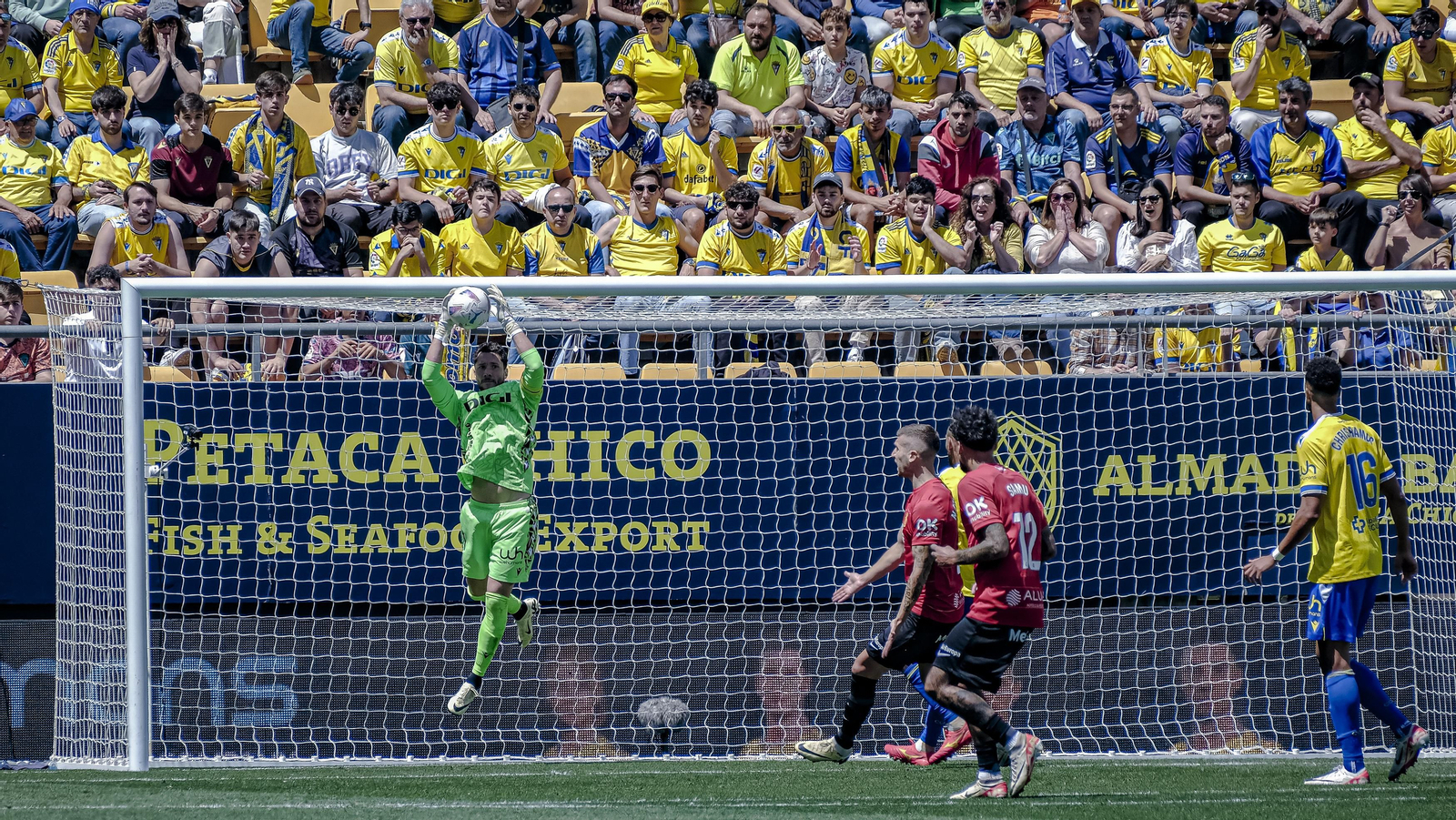Las mejores imágenes del partido Cádiz CF - RCD Mallorca