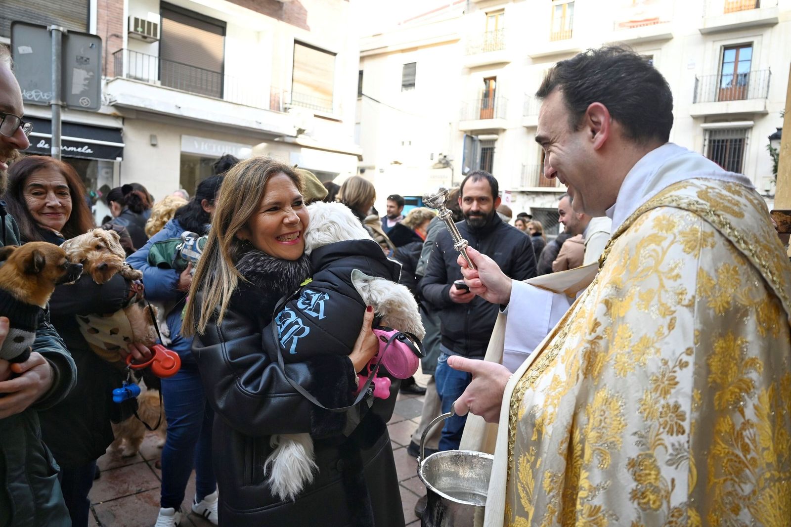 La bendición de animales por San Antón en Córdoba