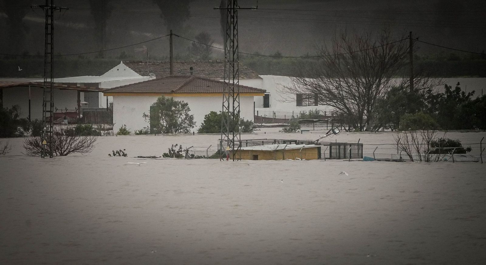 Imágenes de las graves consecuencias de la crecida del rio Guadalete en la zona rural de Jerez