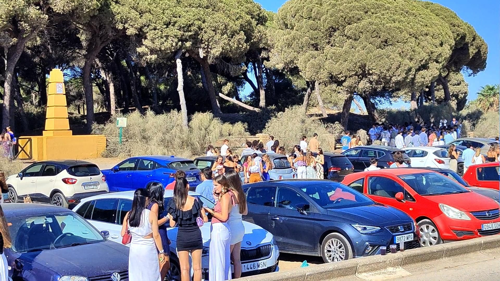 Jóvenes haciendo botellón en el pinar de acceso a Puerto Sherry.