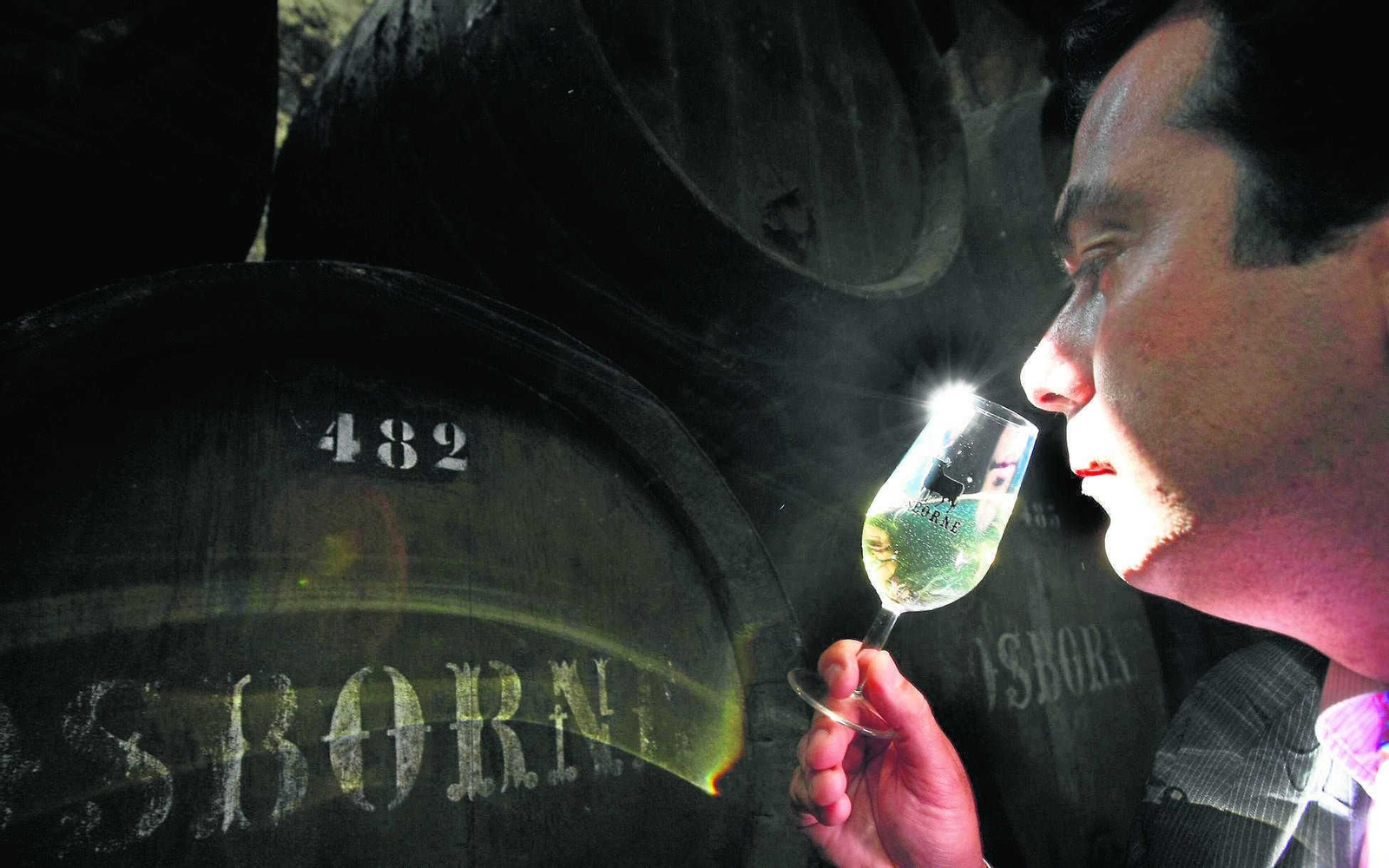 Iván Llanza, de Bodegas Osborne, recomienda Oloroso Rio Viejo de Lustau.