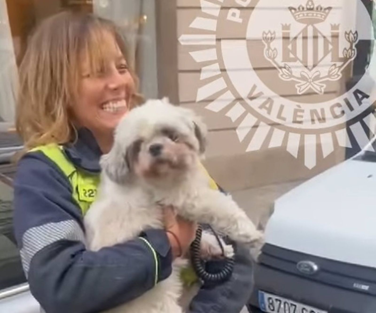 Chincho, un perro encerrado tres días en un coche robado en Valencia