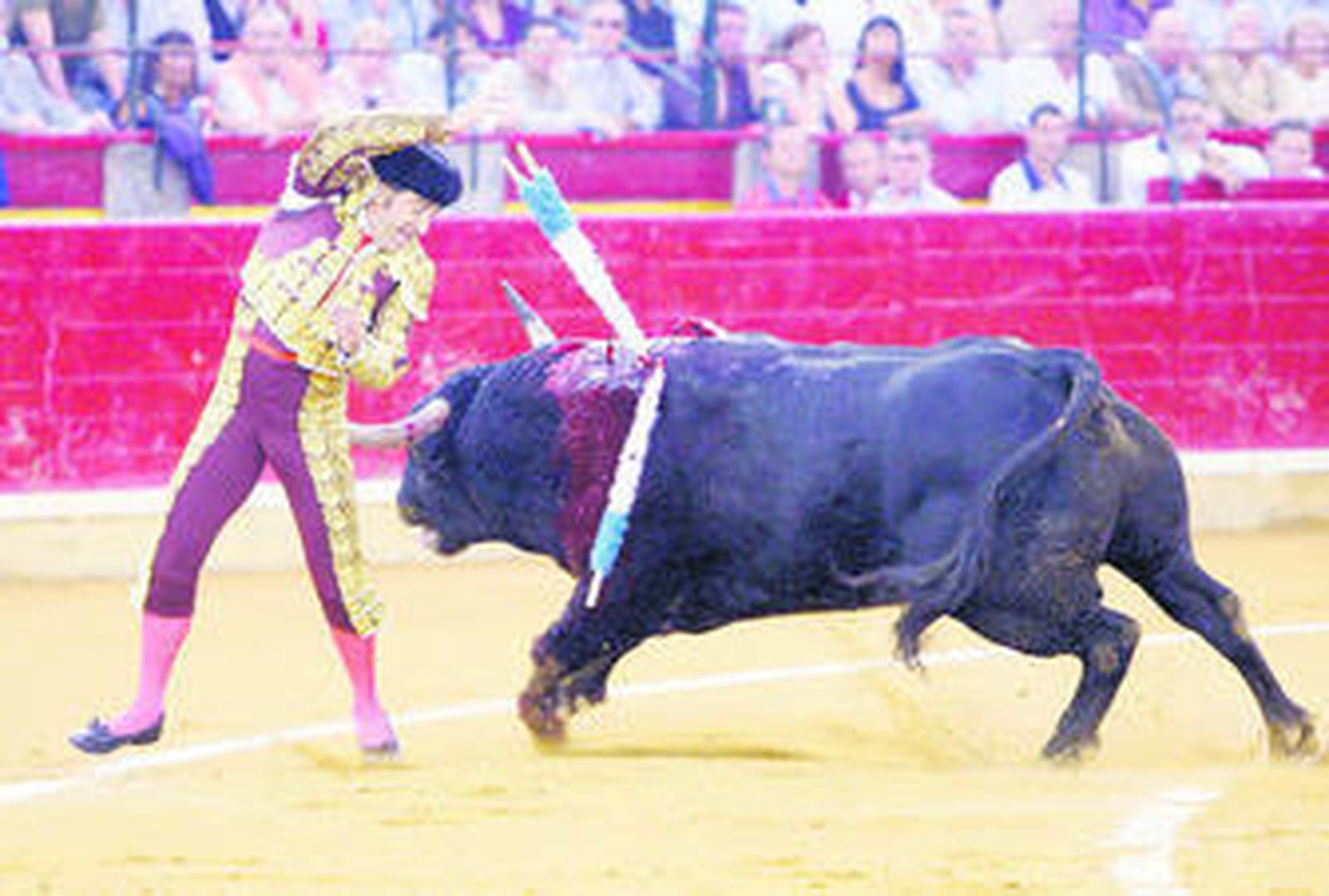Luis Fancisco Esplá, al violín, en su despedida de los ruedos españoles.