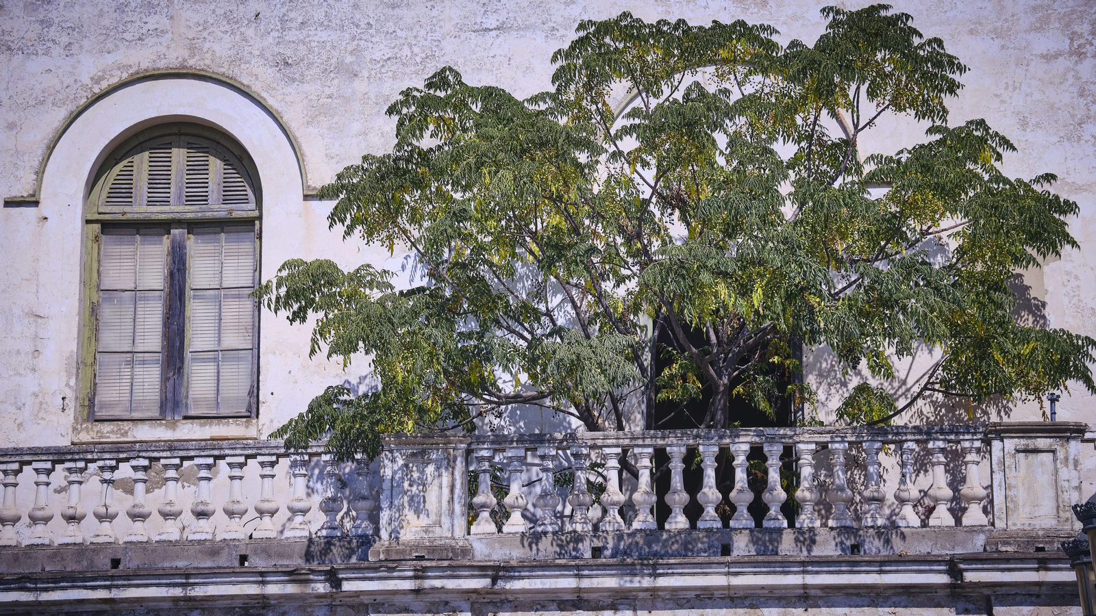 Estado del Hospital de San Juan de Dios.