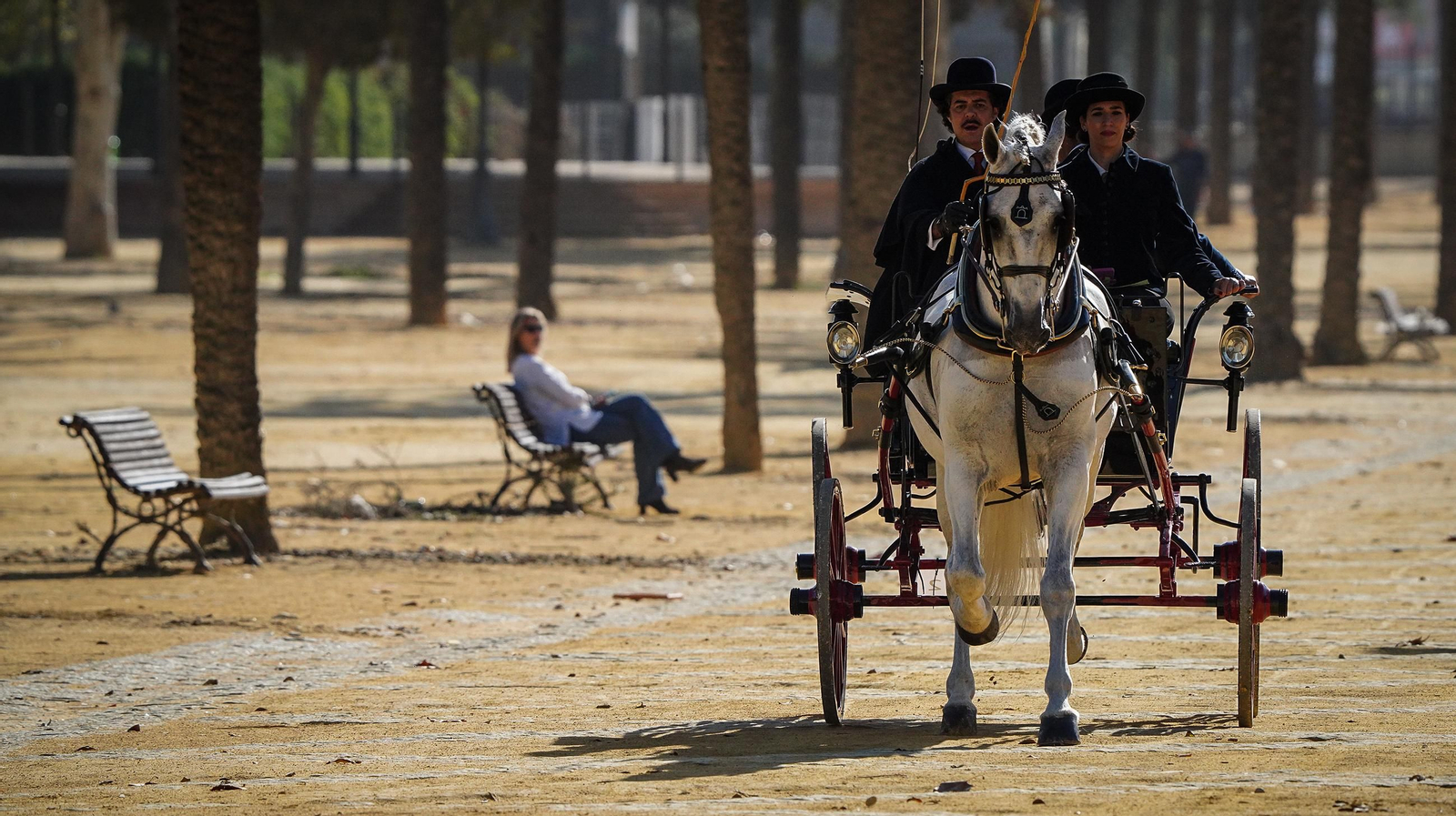 Tradición y elegancia en el Concurso Internacional de Enganches