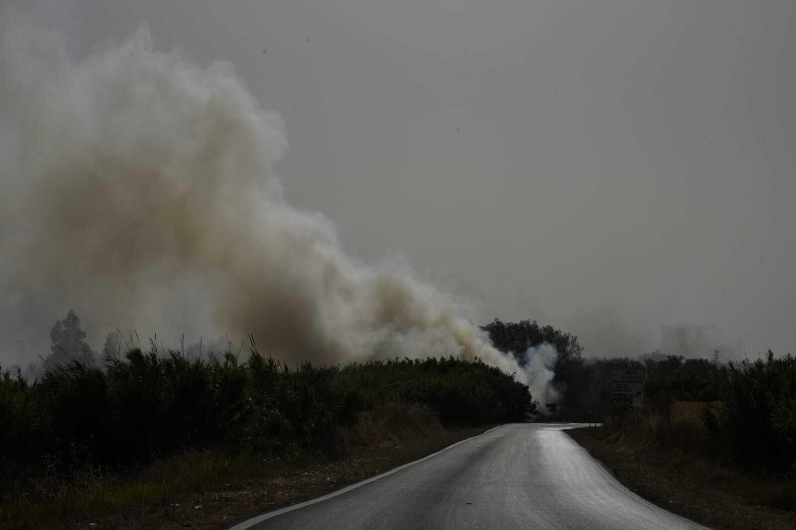 Imágenes del incendio forestal de Bonares