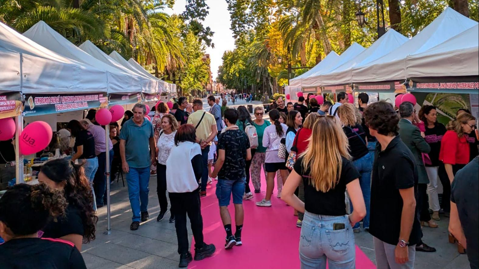 La Noche de los Investigadores 2024 en el Paseo de Linarejos.