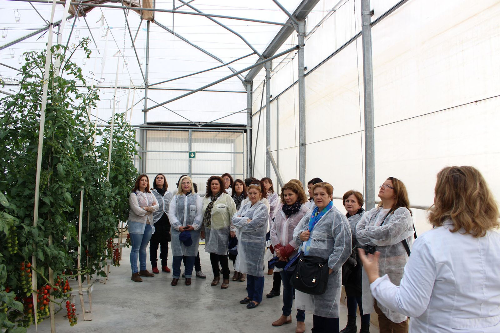 Cabasc fomenta la igualdad